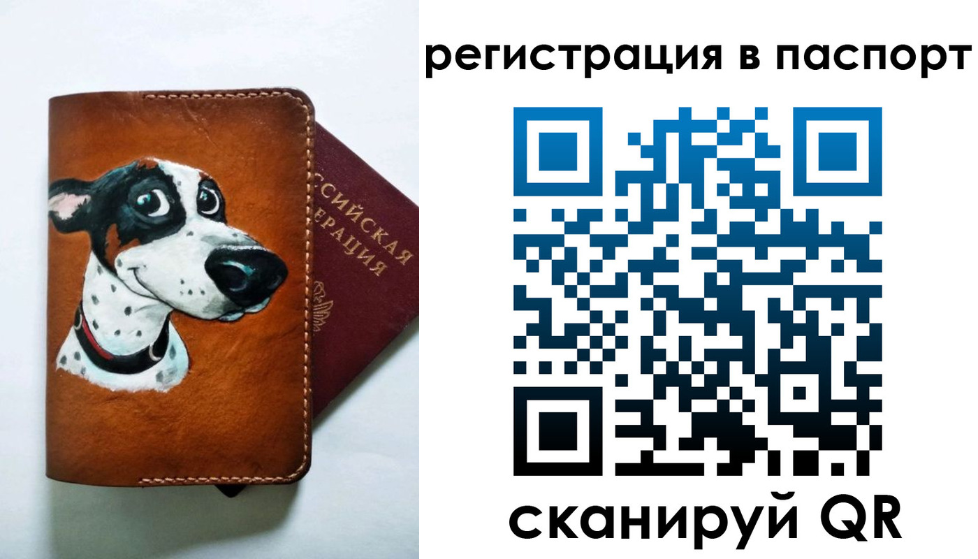 прописка штамп в Красноармейске
